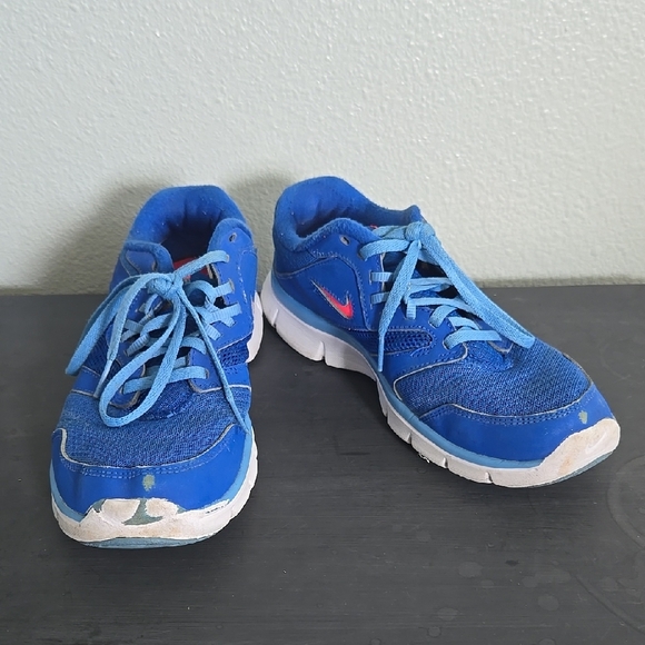 Nike Flex Experience Run 3 Low Blue Size 8 - Picture 1 of 8